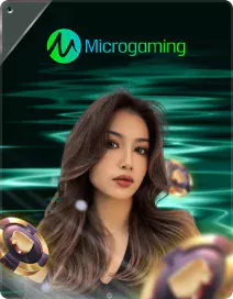 Micro Gaming